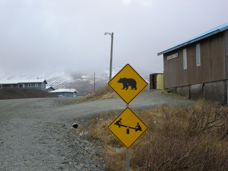 warning-sign-bear-teeter