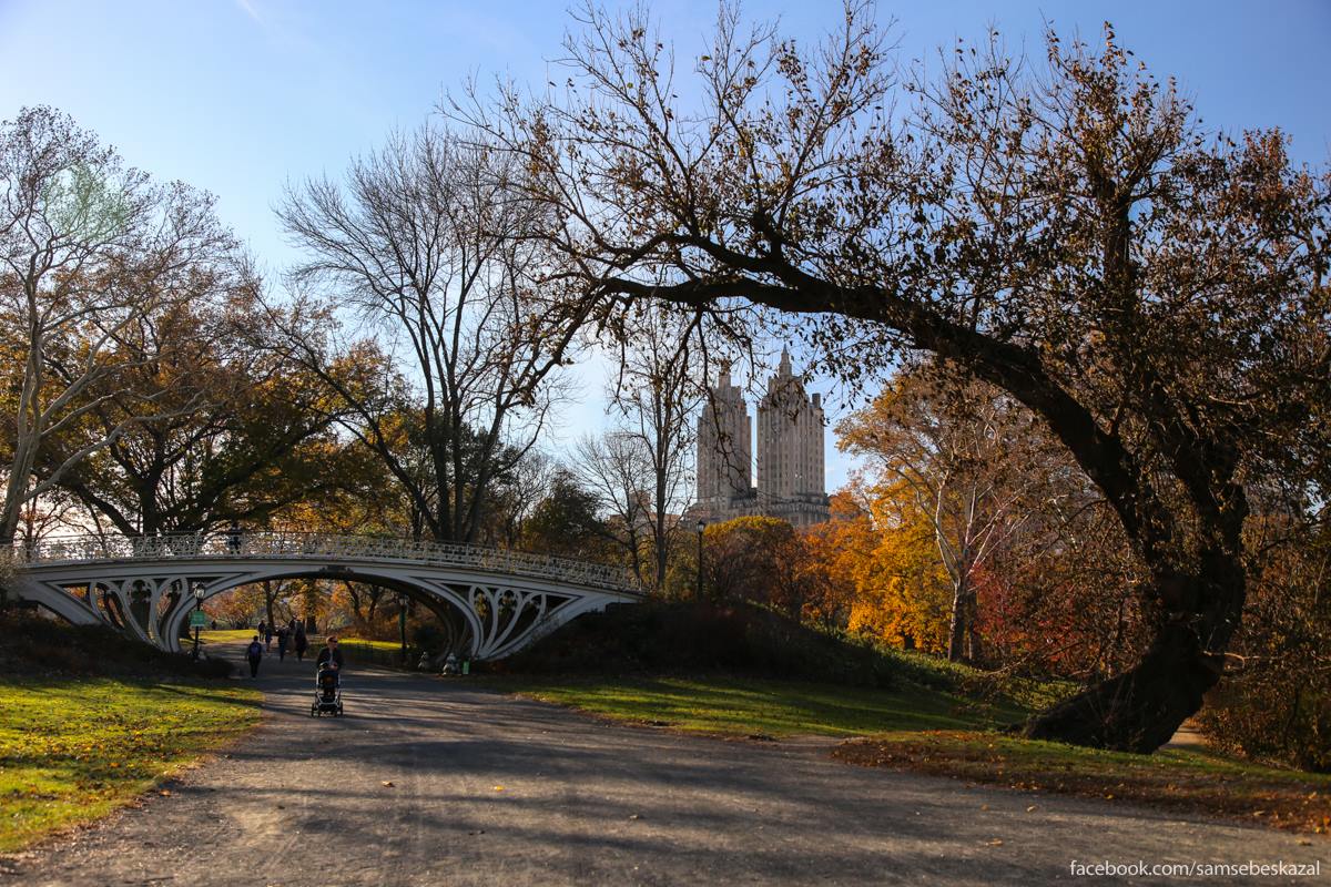 New park. Знаменитый парк в Нью-Йорке. Аллеи центрального парка Нью-Йорка. Осень в Центральном парке Нью-Йорка. Ньюрский Центральный парк.