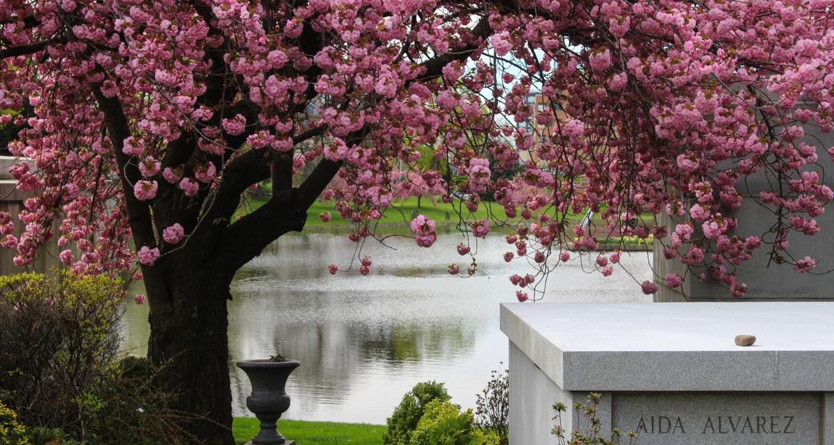 Гринвудское кладбище в Бруклине почти идеальное место для того, чтобы насладиться весной