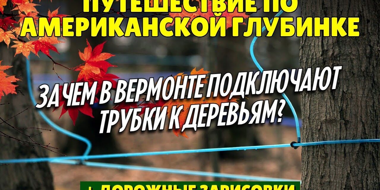 Путешествие по американской глубинке | Зачем в Вермонте подключают трубки к деревьям?